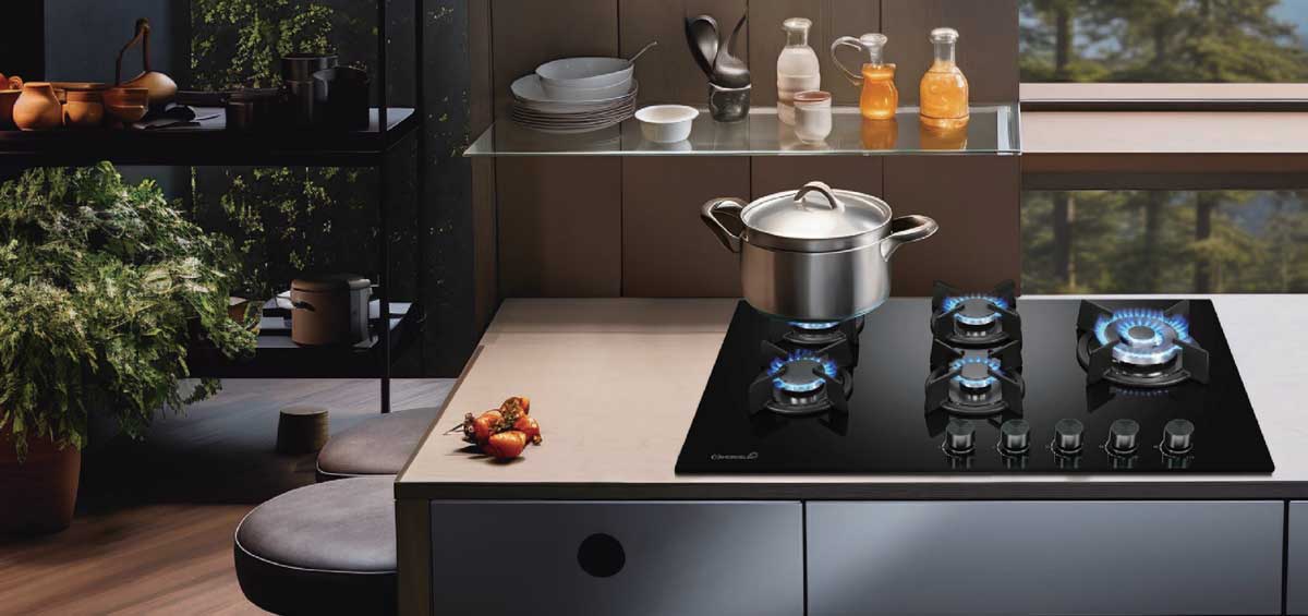 HZQ503B1--gas-stove