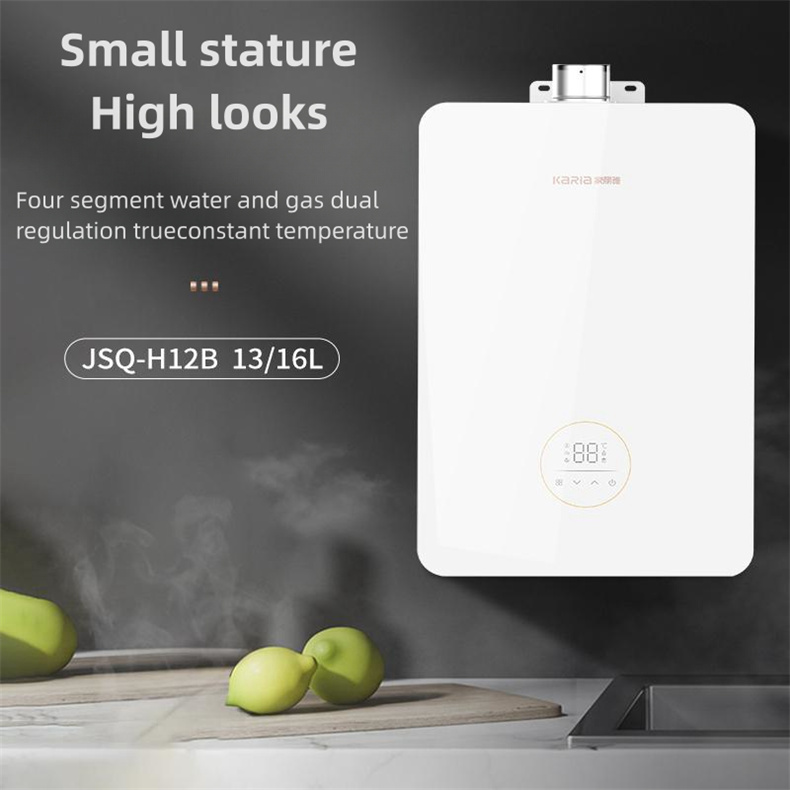 H12B (1)