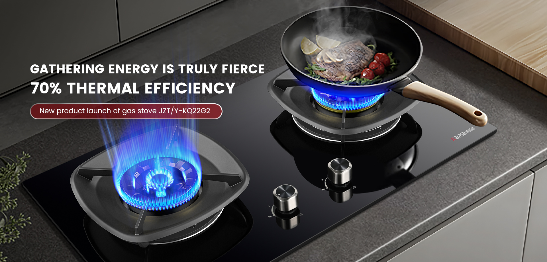 ODM Gas Stove Parts