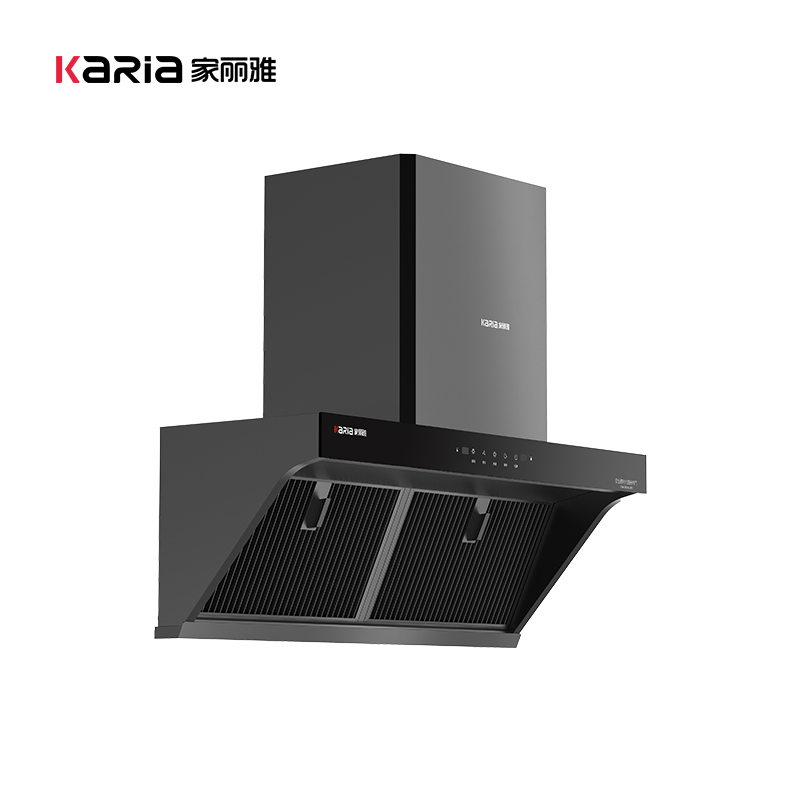 CXW-260-KJ310H, Aerobic Oil Fume Separation, Upper Side Suction (2).jpg